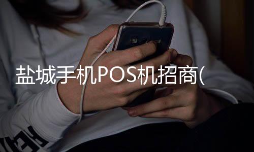 盐城手机POS机招商(暗网虽隐蔽，但并非法外之地)